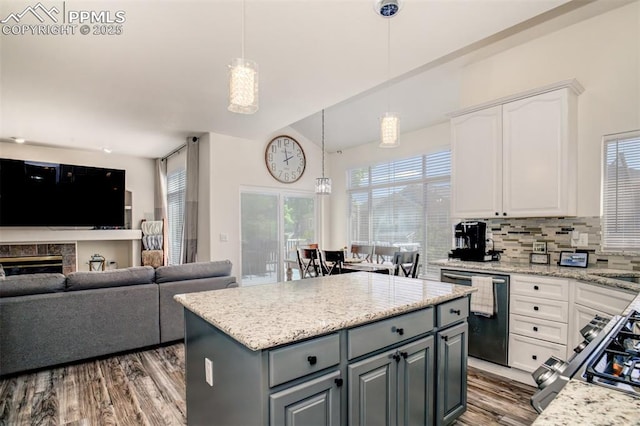 16084 Stonebriar Dr, Parker, CO 80134 - kitchen with dishwashing machine, white cabinetry, wood finished floors, and gray cabinetry