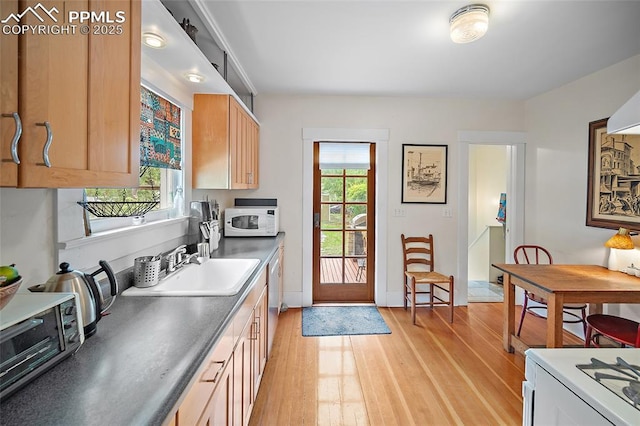 424 N Cedar St, Colorado Springs, CO 80903 - kitchen with white microwave, light wood finished floors, and healthy amount of natural light