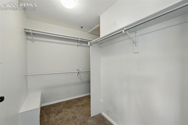2150 Alicia Pt Unit 201, Colorado Springs, CO 80919 - walk in closet featuring carpet flooring