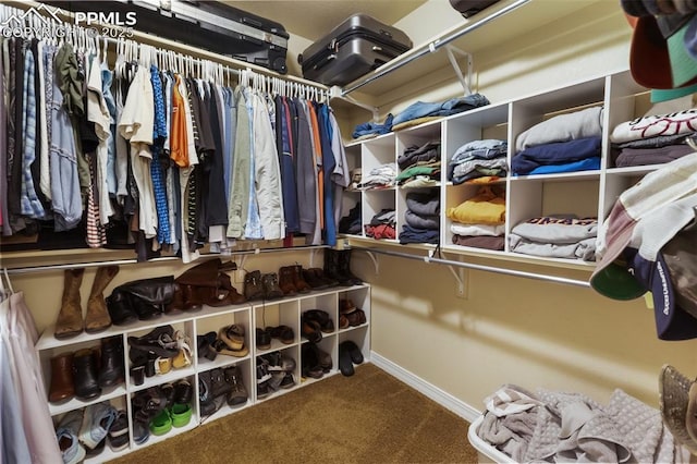1593 Gold Hill Mesa Dr, Colorado Springs, CO 80905 - spacious closet featuring carpet flooring