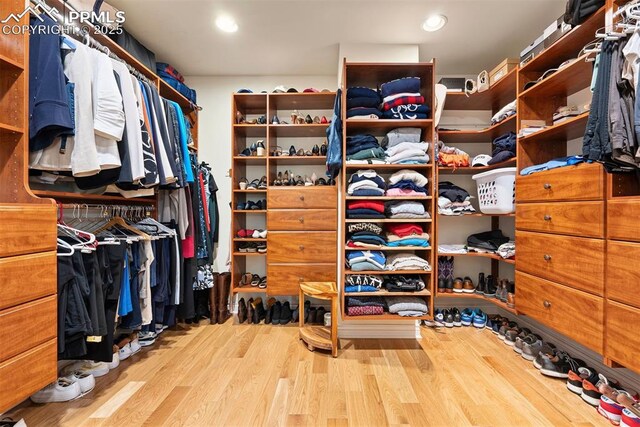3 Mesa Ln, Colorado Springs, CO 80906 - walk in closet featuring wood finished floors
