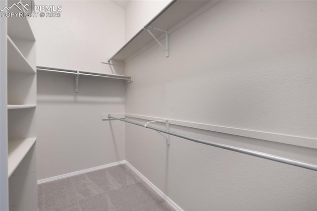 3867 Josephine Hts, Colorado Springs, CO 80906 - walk in closet featuring carpet flooring