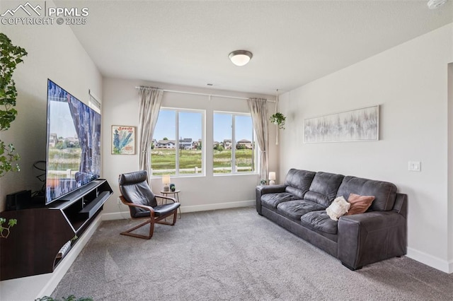 1842 Peak Prairie Ln, Monument, CO 80132 - carpeted living area with baseboards