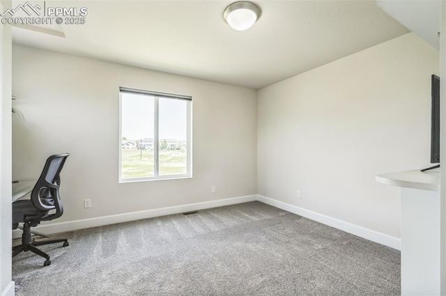 1842 Peak Prairie Ln, Monument, CO 80132 - unfurnished office with carpet flooring
