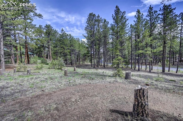 1396 Roberts Ranch Rd, Woodland Park, CO 80863