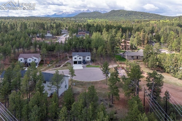 1396 Roberts Ranch Rd, Woodland Park, CO 80863