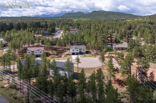 1396 Roberts Ranch Rd, Woodland Park, CO 80863