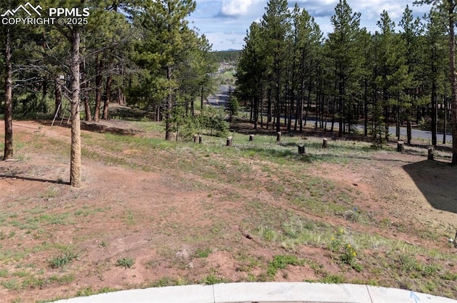 1396 Roberts Ranch Rd, Woodland Park, CO 80863