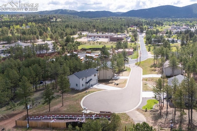 1396 Roberts Ranch Rd, Woodland Park, CO 80863