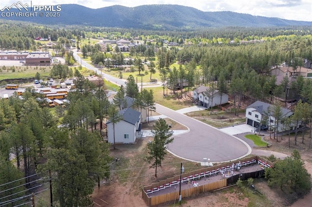 1396 Roberts Ranch Rd, Woodland Park, CO 80863