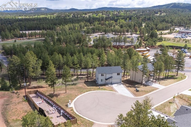 1396 Roberts Ranch Rd, Woodland Park, CO 80863