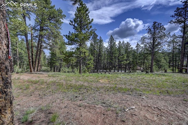 1396 Roberts Ranch Rd, Woodland Park, CO 80863