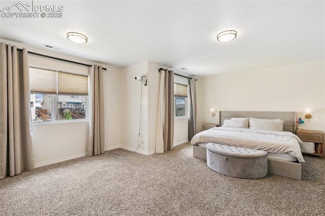 3748 Reindeer Cir, Colorado Springs, CO 80922 - carpeted bedroom featuring multiple windows and baseboards