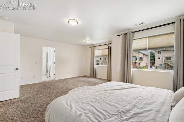 3748 Reindeer Cir, Colorado Springs, CO 80922 - carpeted bedroom with multiple windows and baseboards