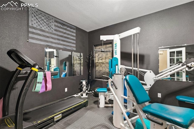 3748 Reindeer Cir, Colorado Springs, CO 80922 - exercise area featuring a textured wall and a textured ceiling