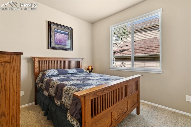 10290 Peach Blossom Trl, Colorado Springs, CO 80920 - carpeted bedroom with baseboards