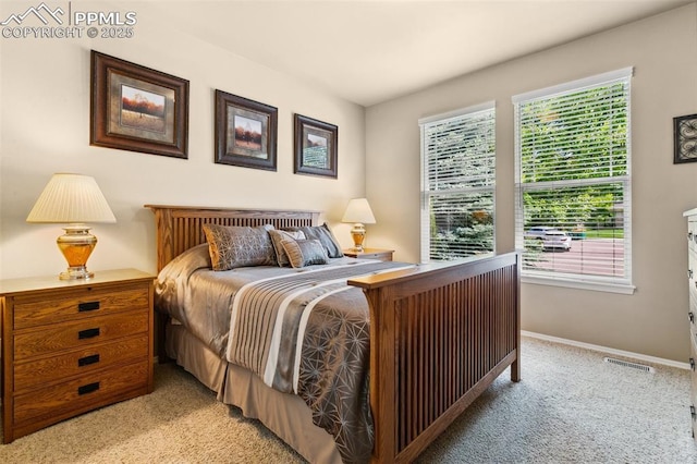 10290 Peach Blossom Trl, Colorado Springs, CO 80920 - bedroom with light carpet and baseboards