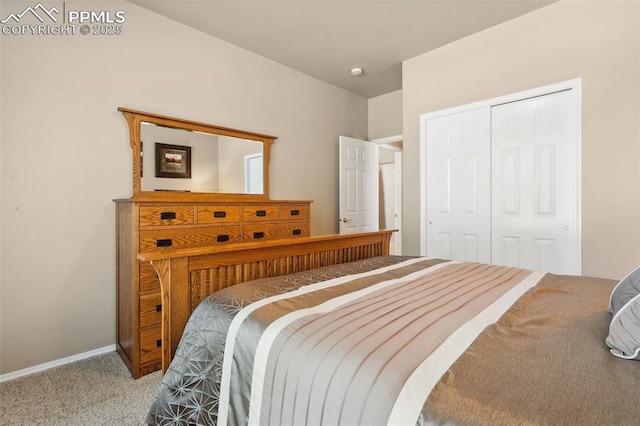 10290 Peach Blossom Trl, Colorado Springs, CO 80920 - bedroom with carpet floors and a closet