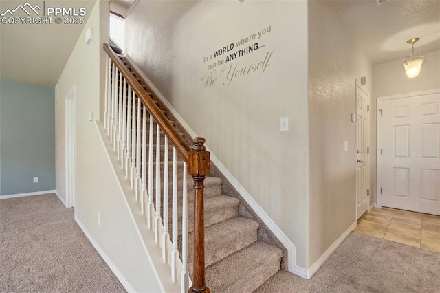 2305 Reed Grass Way, Colorado Springs, CO 80915 - stairs featuring carpet flooring and baseboards