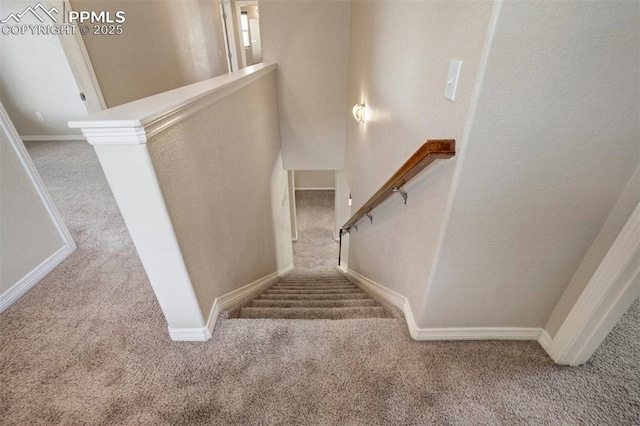 2305 Reed Grass Way, Colorado Springs, CO 80915 - stairs featuring carpet floors and baseboards