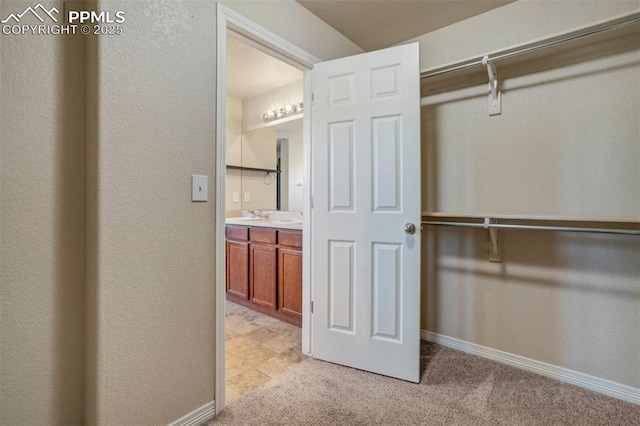 2305 Reed Grass Way, Colorado Springs, CO 80915 - spacious closet with light carpet and a sink