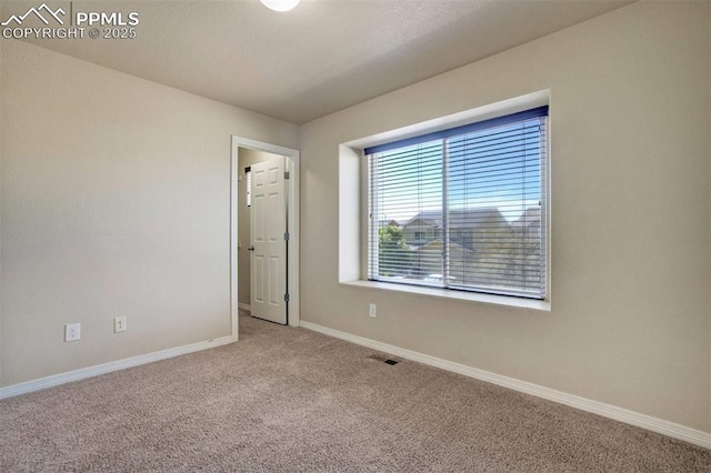 2305 Reed Grass Way, Colorado Springs, CO 80915 - unfurnished room with carpet floors and baseboards