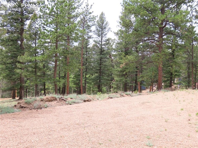 210 Donzi Trl, Florissant, CO 80816