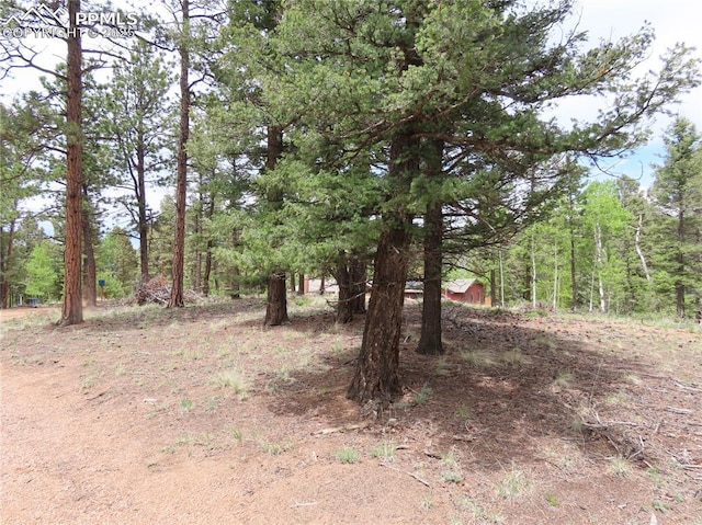 210 Donzi Trl, Florissant, CO 80816