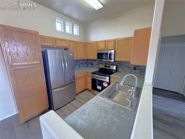 4710 Sand Mountain Pt, Colorado Springs, CO 80923 - kitchen featuring stainless steel appliances, tasteful backsplash, light wood-style floors, and a high ceiling