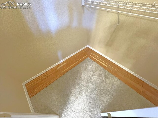 4710 Sand Mountain Pt, Colorado Springs, CO 80923 - walk in closet featuring wood finished floors