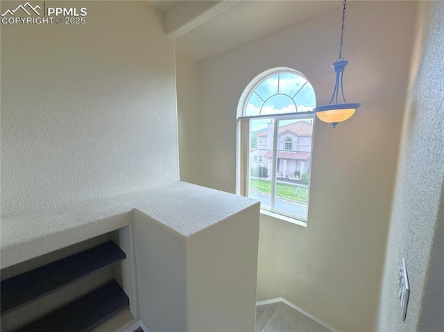 4710 Sand Mountain Pt, Colorado Springs, CO 80923 - staircase featuring baseboards