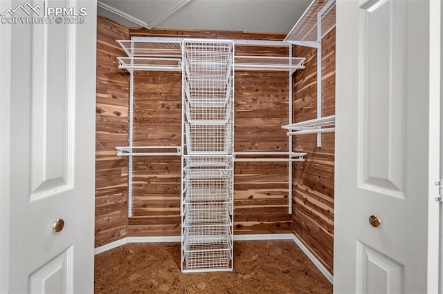 206 Luxury Ln, Colorado Springs, CO 80921 - walk in closet with carpet floors