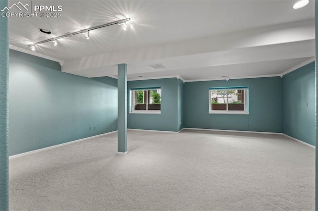 206 Luxury Ln, Colorado Springs, CO 80921 - empty room featuring track lighting, carpet flooring, and crown molding