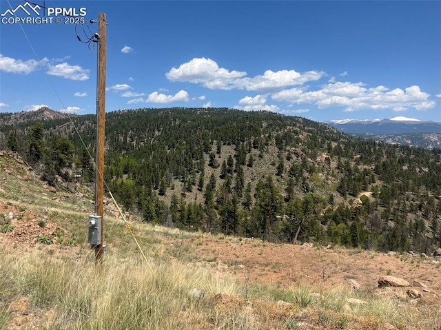 52 Chateau W Cir, Florissant, CO 80816