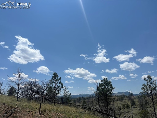 52 Chateau W Cir, Florissant, CO 80816