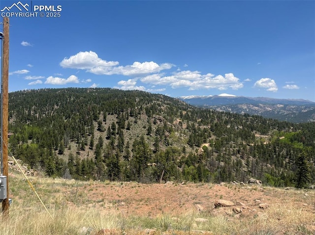 52 Chateau W Cir, Florissant, CO 80816