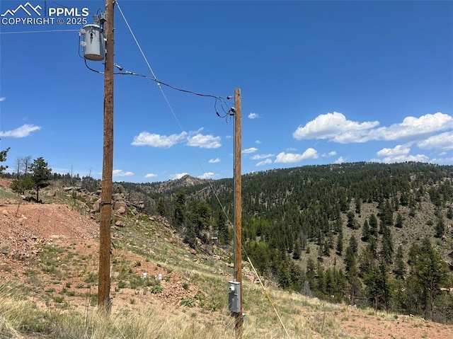 52 Chateau W Cir, Florissant, CO 80816