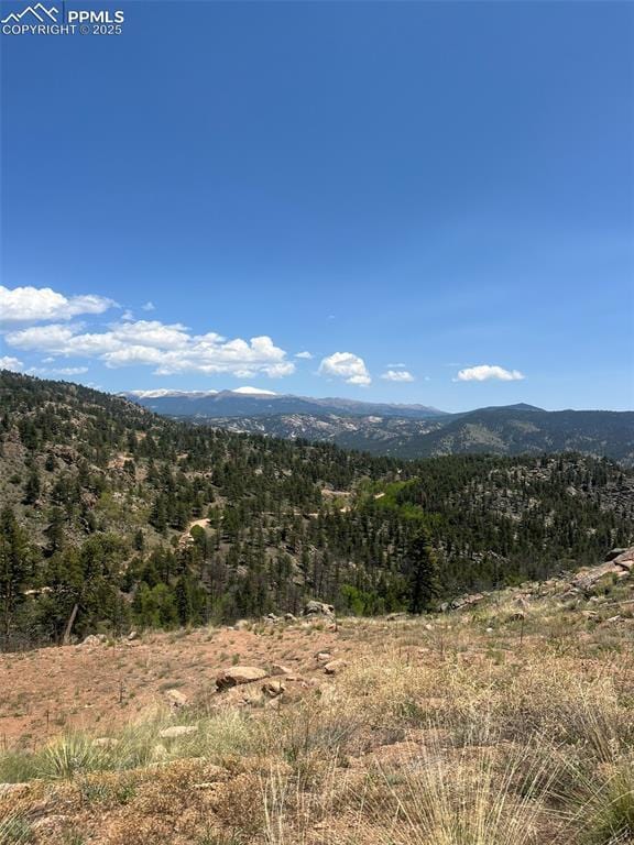 52 Chateau W Cir, Florissant, CO 80816