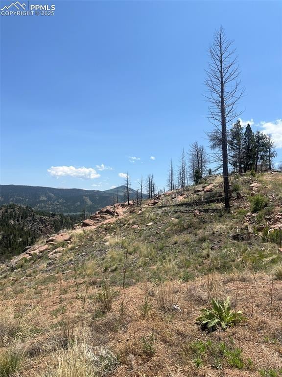 52 Chateau W Cir, Florissant, CO 80816