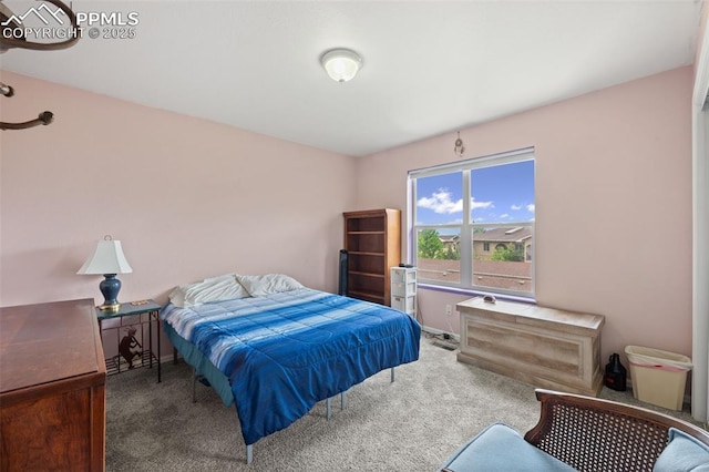 1749 Victorian Pt, Colorado Springs, CO 80905 - carpeted bedroom with baseboards