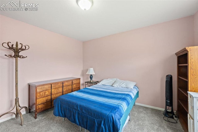 1749 Victorian Pt, Colorado Springs, CO 80905 - bedroom with carpet floors and baseboards