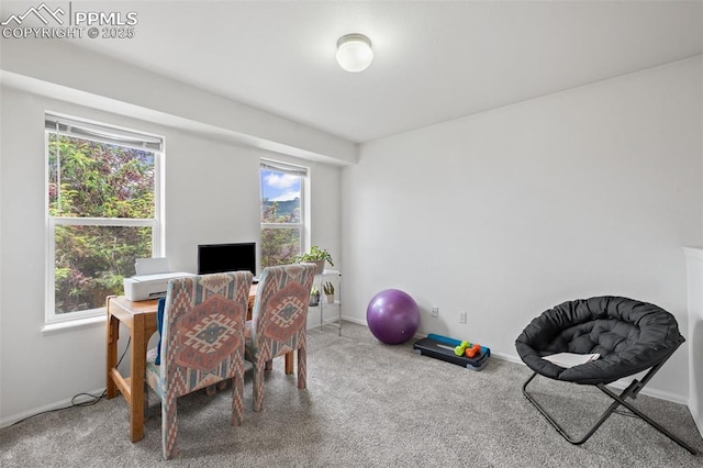 1749 Victorian Pt, Colorado Springs, CO 80905 - carpeted office featuring baseboards