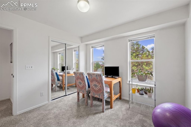 1749 Victorian Pt, Colorado Springs, CO 80905 - carpeted office space featuring baseboards