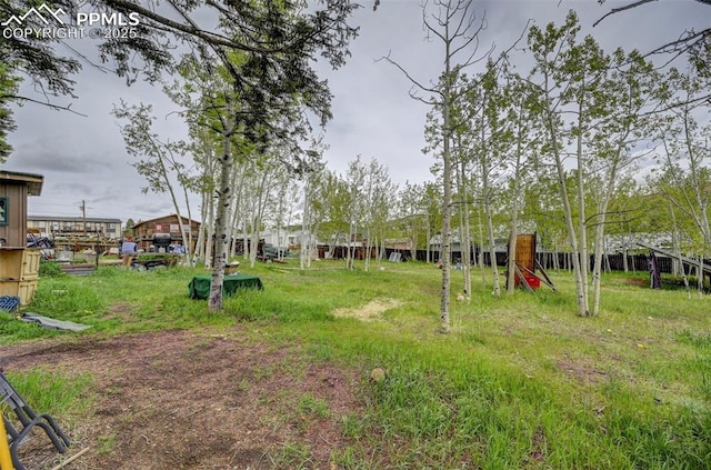 128 W Eaton Ave, Cripple Creek, CO 80813 - view of yard