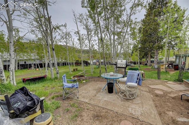 128 W Eaton Ave, Cripple Creek, CO 80813 - view of grassy yard with a patio