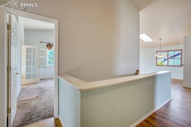 55 Misty Creek Dr, Monument, CO 80132 - corridor with a skylight, an upstairs landing, wood finished floors, and lofted ceiling