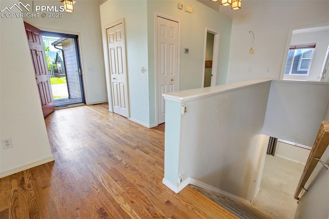 55 Misty Creek Dr, Monument, CO 80132 - foyer entrance with light wood-style flooring and baseboards