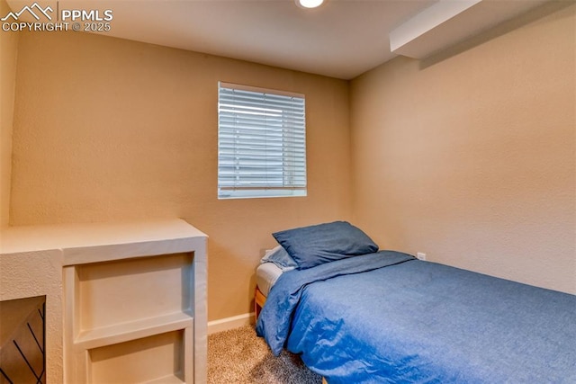 1445 N Foote Ave, Colorado Springs, CO 80909 - view of carpeted bedroom