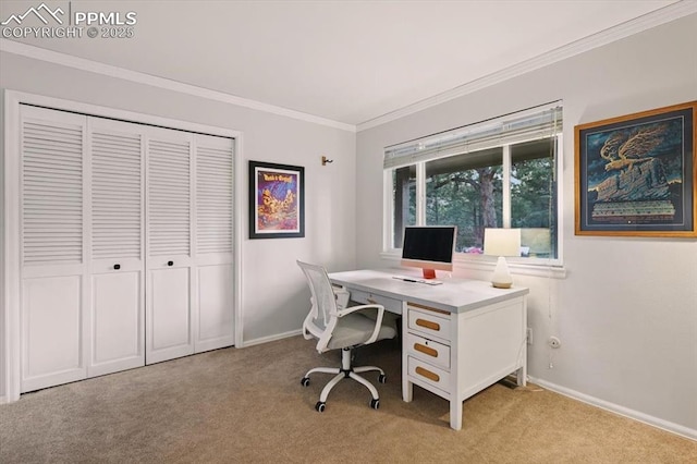 78 Raven Hills Ct, Colorado Springs, CO 80919 - office with light carpet and ornamental molding