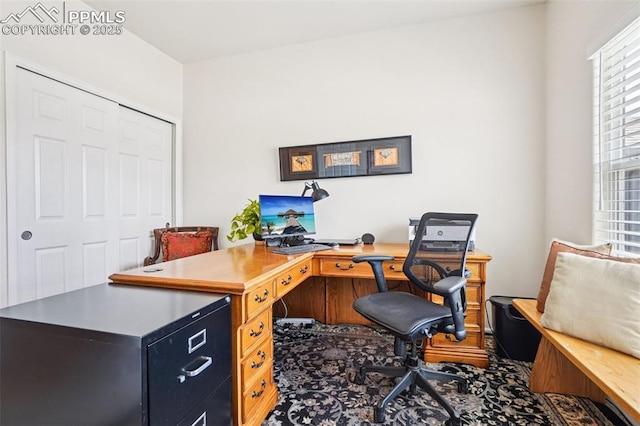 7845 Morning Dew Rd, Colorado Springs, CO 80908 - view of home office